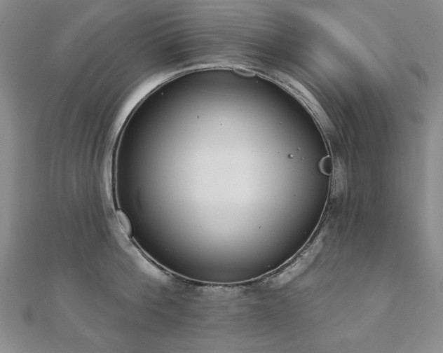 X0000110860812200906181140