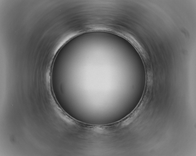 X0000110860814200906181140