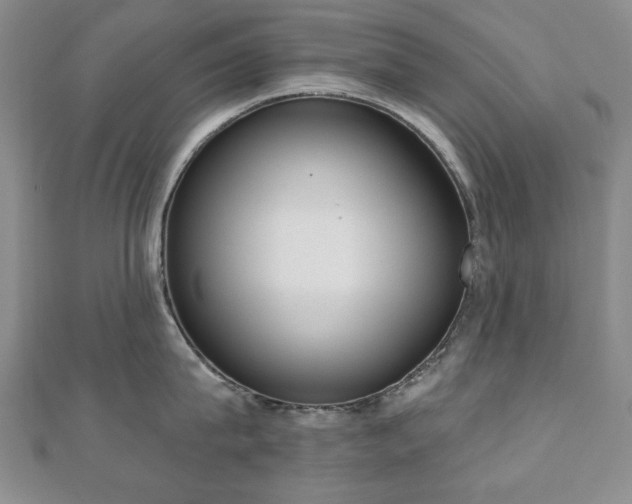 X0000110860815200906181140