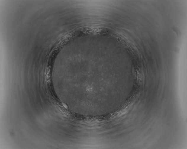 X0000110860818200906181139