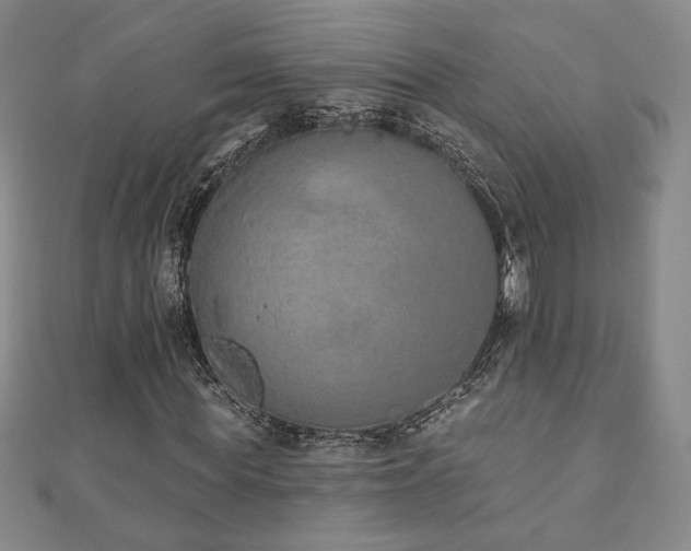 X0000110860819200906181139