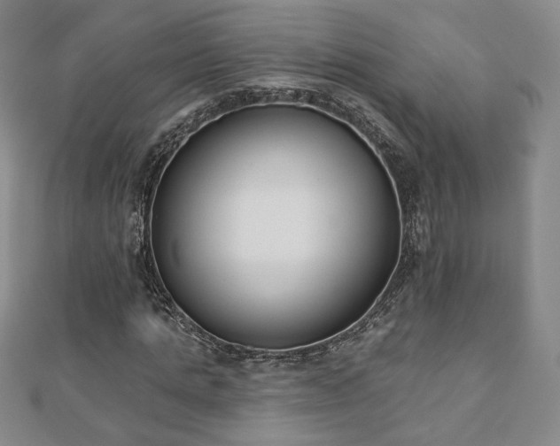 X0000110860821200906181139