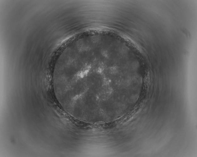X0000110860822200906181139