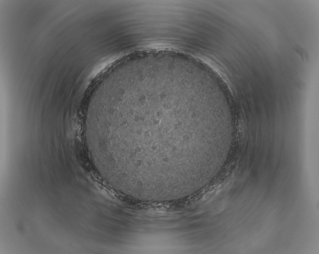 X0000110860823200906181139