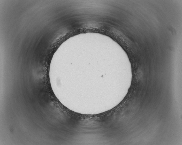 X0000110860824200906181139