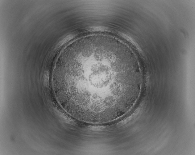 X0000110860825200906181139
