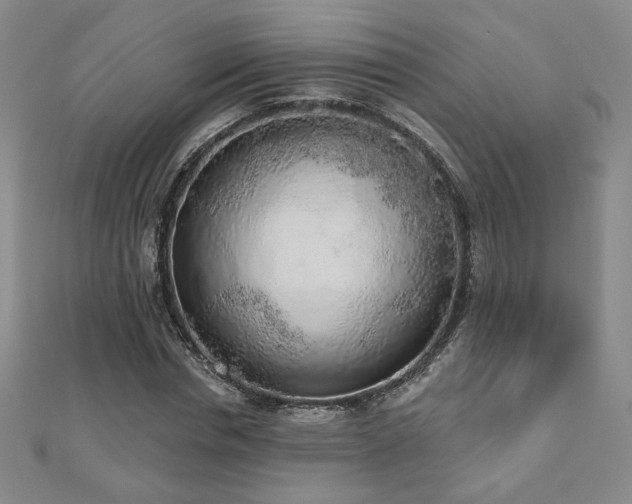 X0000110860826200906181139