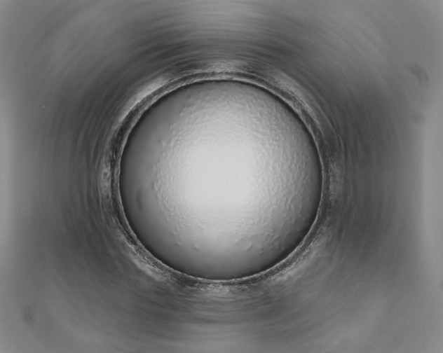 X0000110860827200906181139
