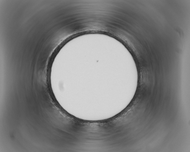 X0000110860828200906181139