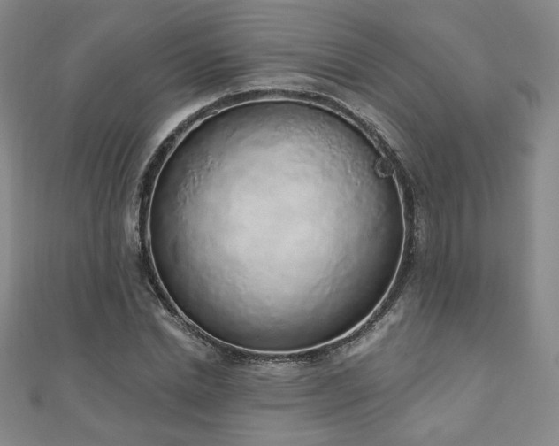 X0000110860830200906181139