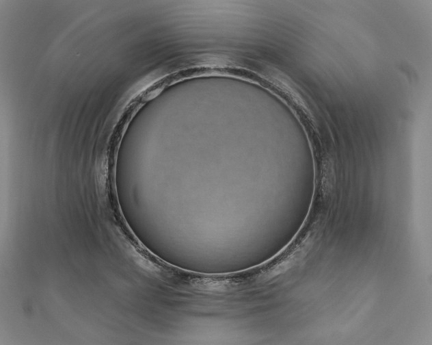 X0000110860831200906181139