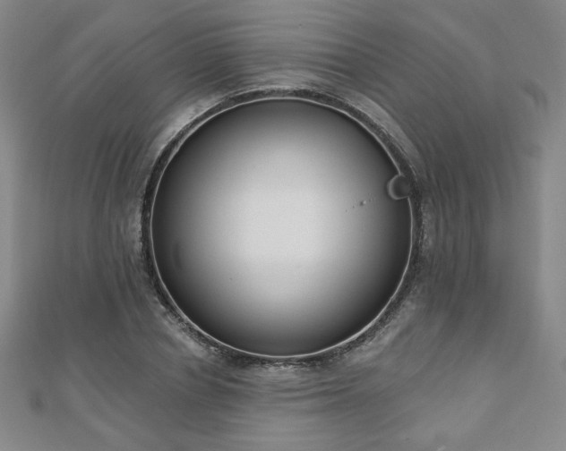 X0000110860834200906181139