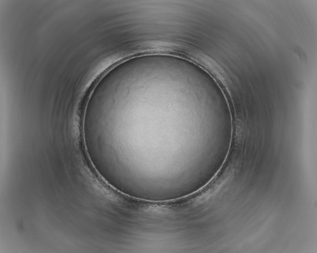X0000110860835200906181139