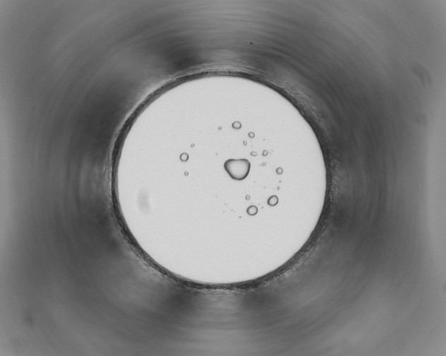 X0000110860836200906181139