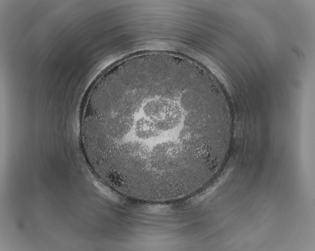 X0000110860837200906181139