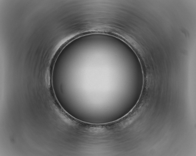 X0000110860838200906181139