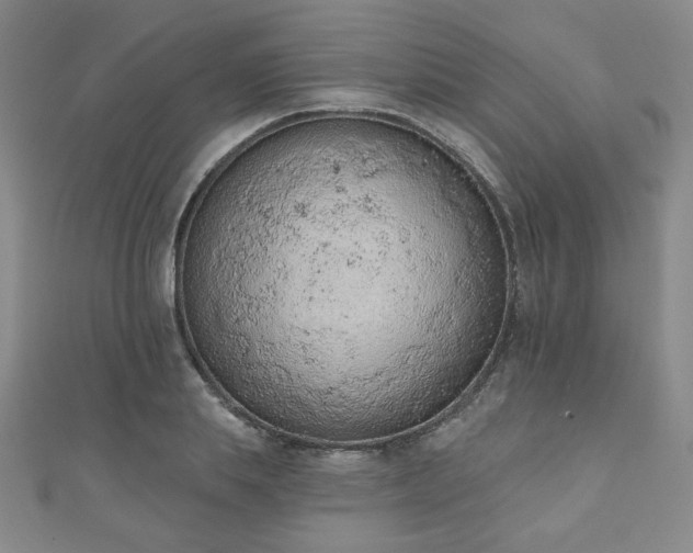 X0000110860839200906181139
