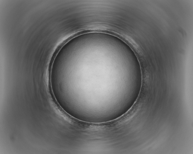 X0000110860840200906181139