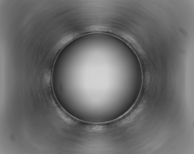 X0000110860841200906181139