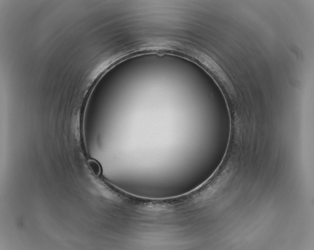 X0000110860842200906181139