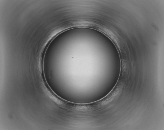 X0000110860843200906181139
