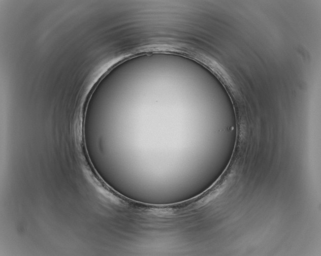 X0000110860844200906181139