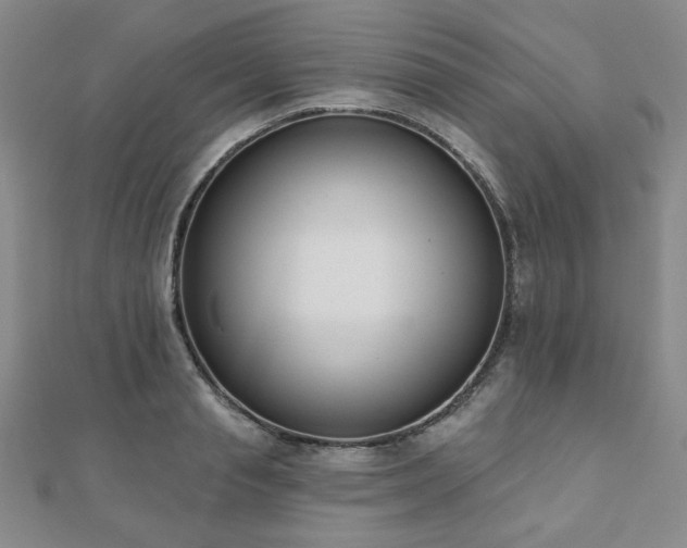 X0000110860845200906181139