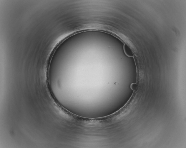 X0000110860846200906181140