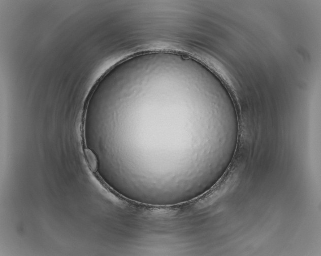 X0000110860847200906181140