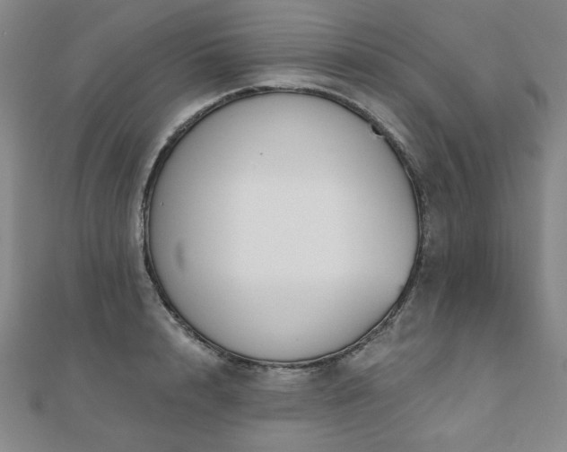 X0000110860848200906181140