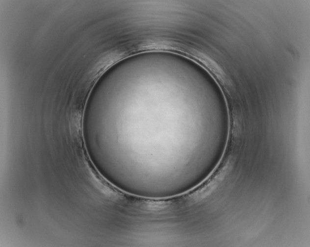 X0000110860849200906181140