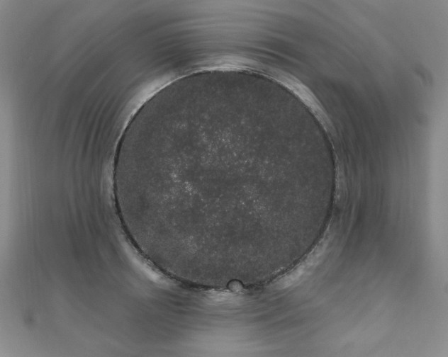 X0000110860850200906181140