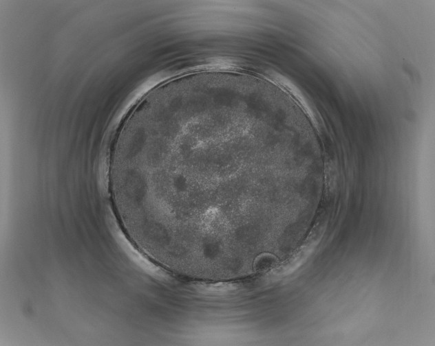 X0000110860851200906181140