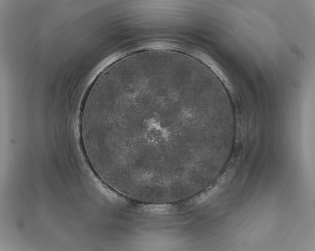 X0000110860853200906181140