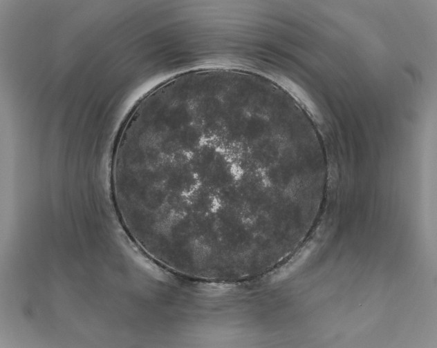X0000110860854200906181140