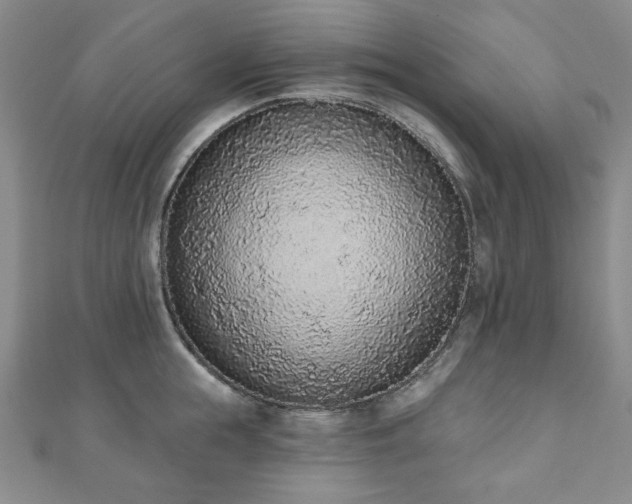 X0000110860855200906181140