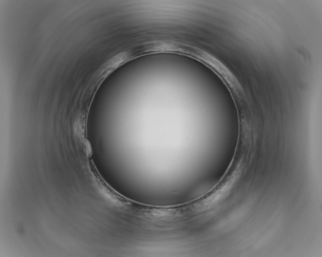 X0000110860857200906181140