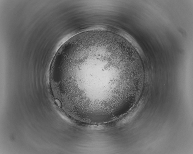 X0000110860858200906181140