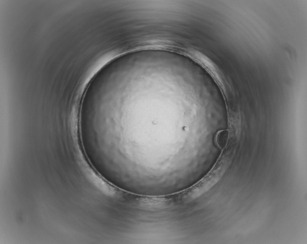 X0000110860859200906181140