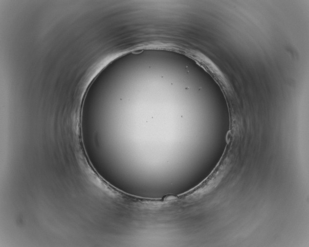 X0000110860860200906181140
