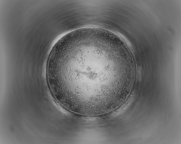 X0000110860862200906181140