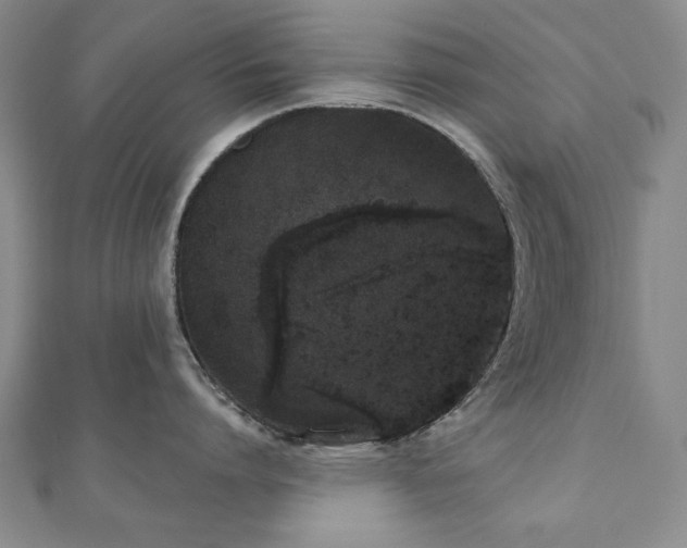 X0000110860864200906181140