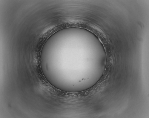 X0000110860869200906181139