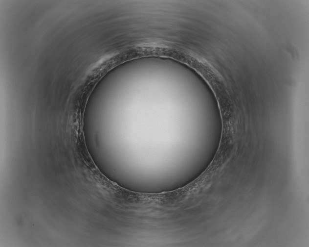 X0000110860870200906181139