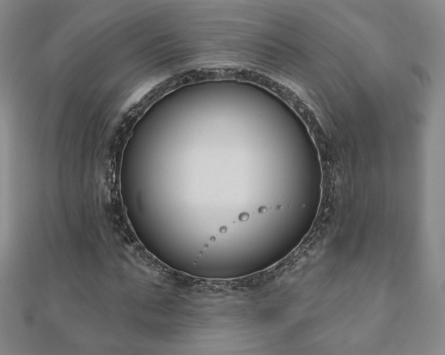 X0000110860871200906181139