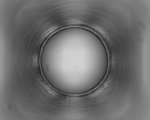 X0000110860873200906181139