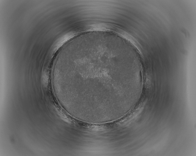 X0000110860874200906181139