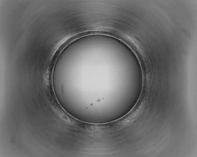 X0000110860875200906181139