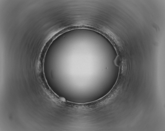 X0000110860876200906181139