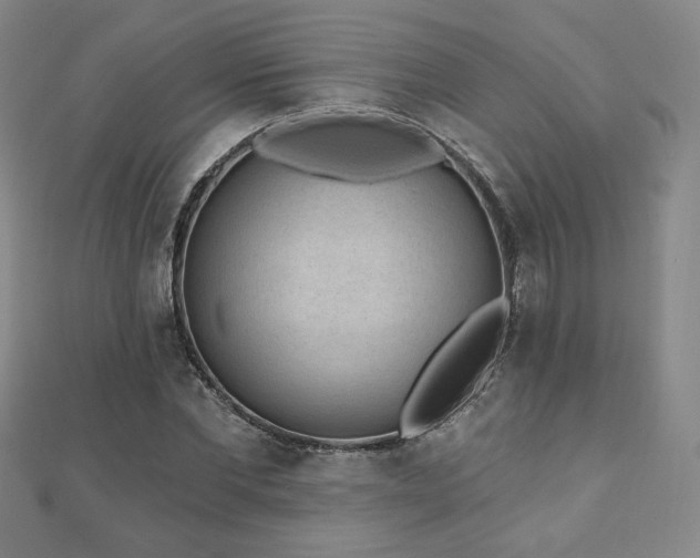 X0000110860877200906181139
